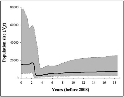 Evolución del número efectivo de infecciones por PepMV